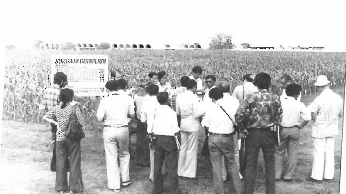 plant-breeders-india-1140x640.png