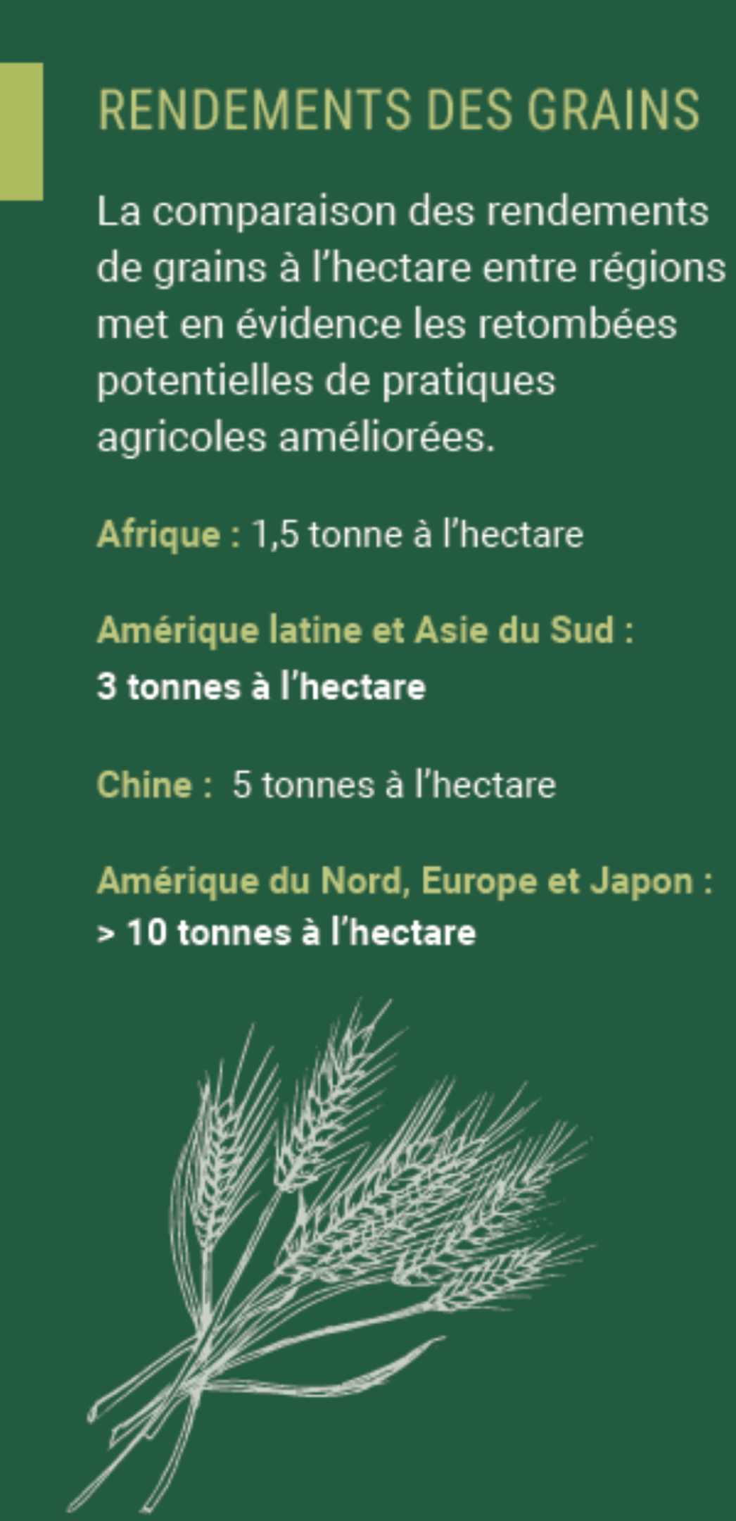 rendementdesgrainsfr.png
