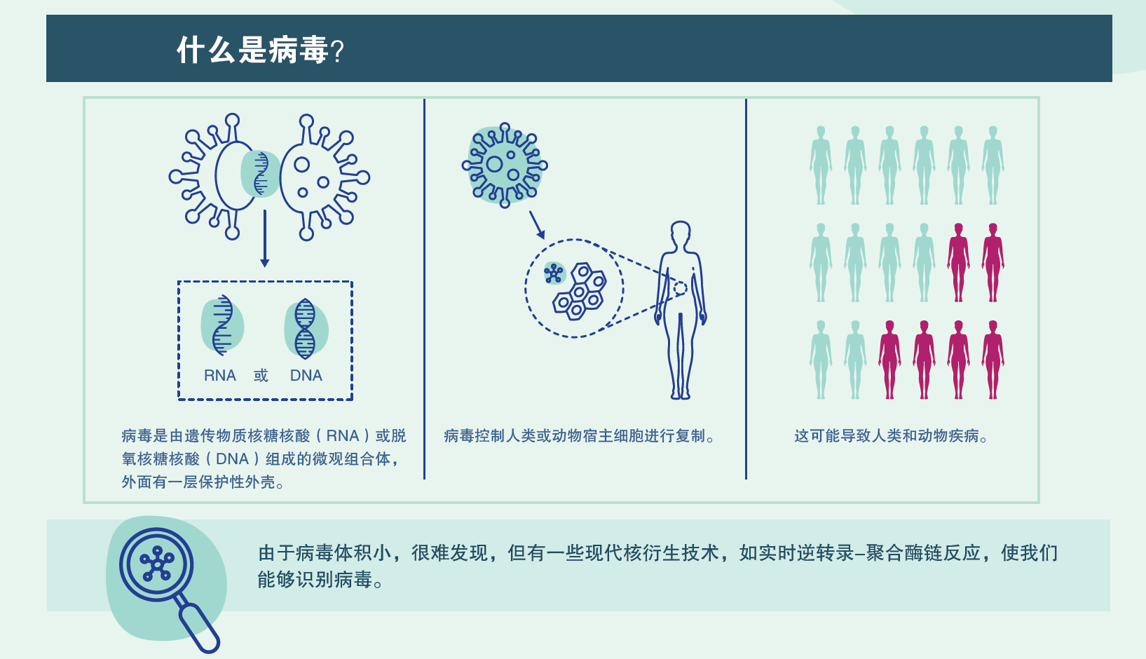 rt-pcr_infographic_ch_01.png