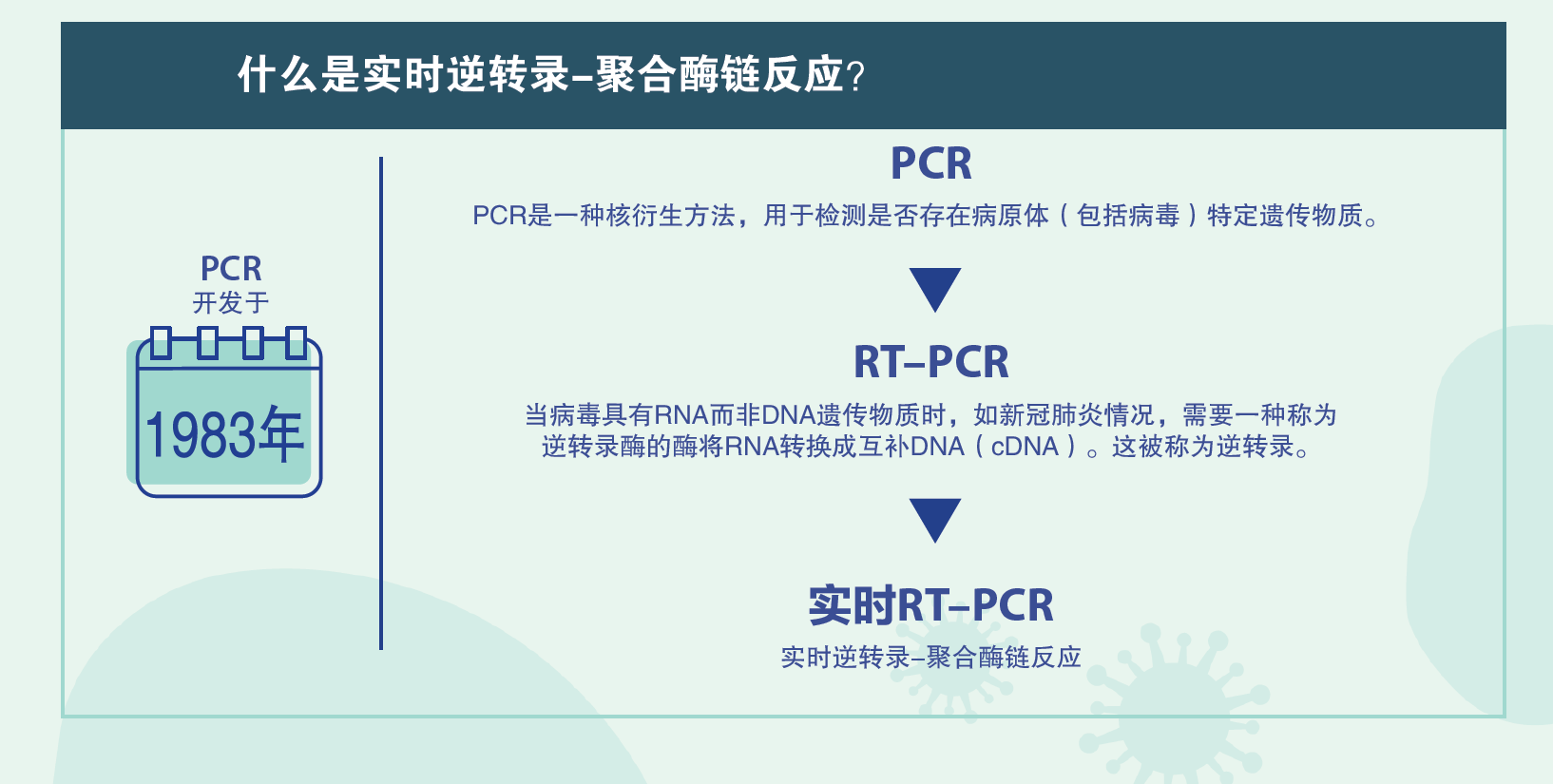 rt-pcr_infographic_ch_02.png