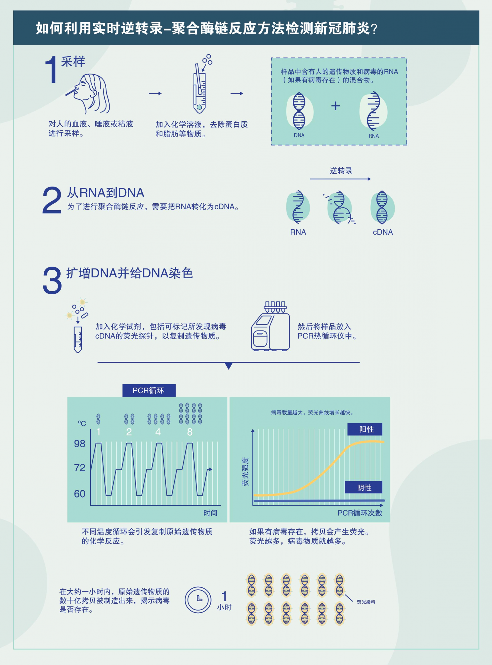 rt-pcr_infographic_ch_03.png