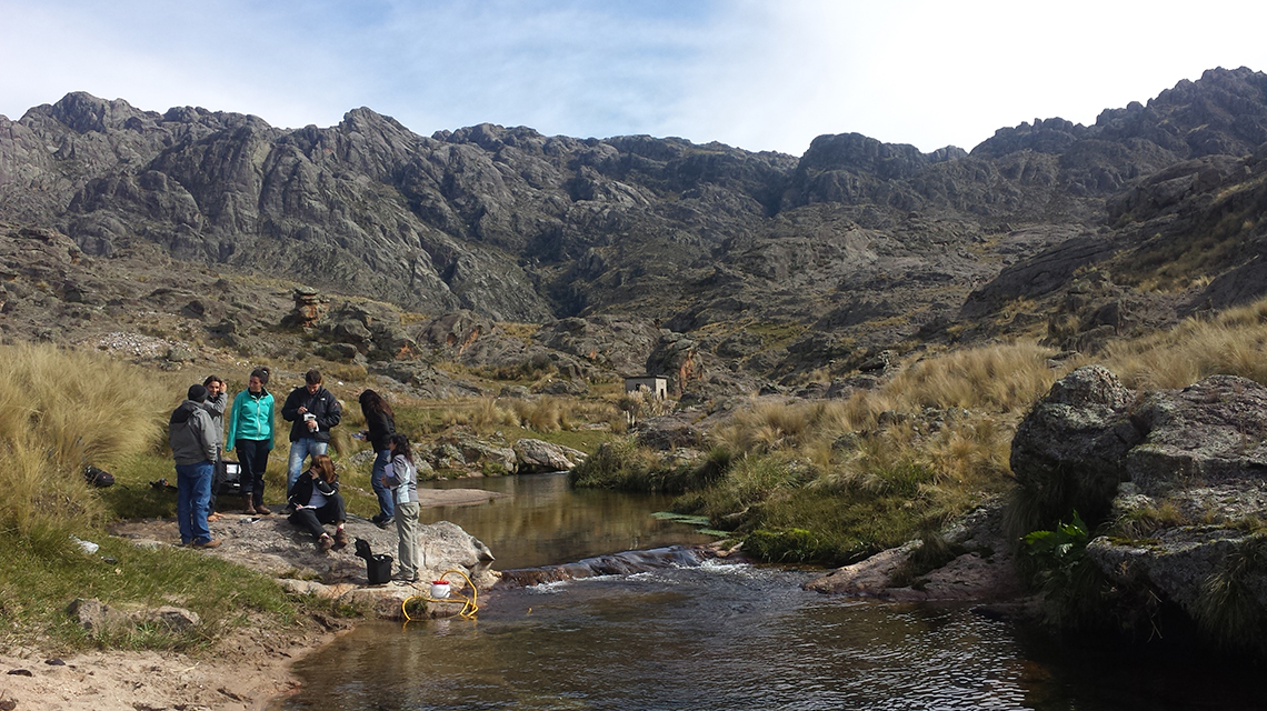 samples-argentina-140x640.jpg