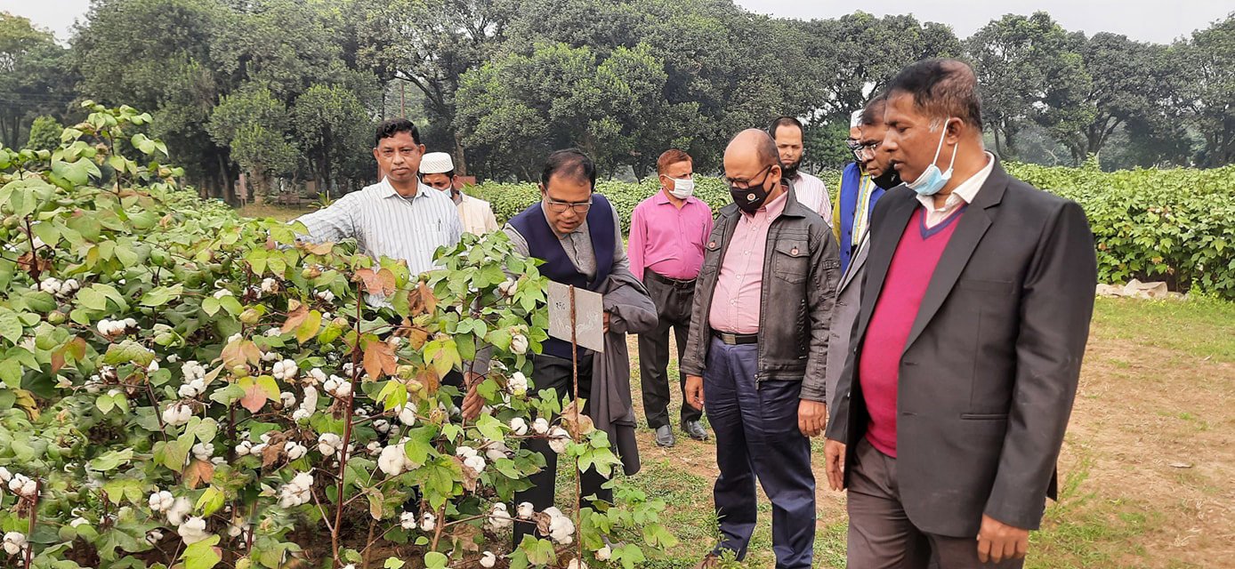scientists_cotton_bangladesh.jpg