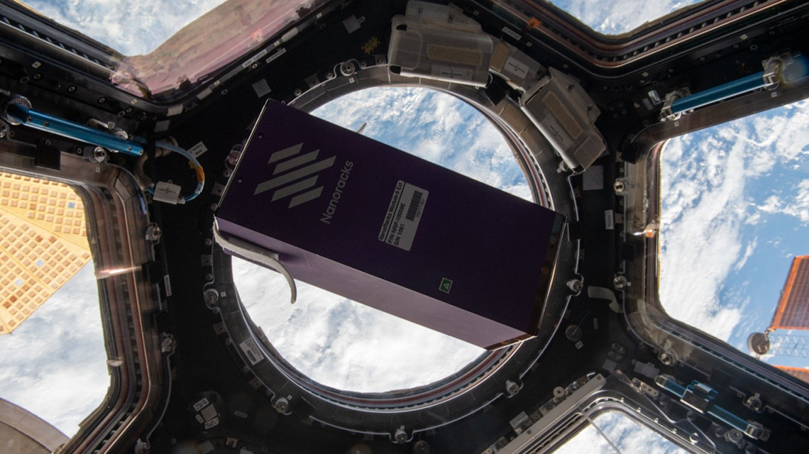 seeds-in-space-1140x640.jpg