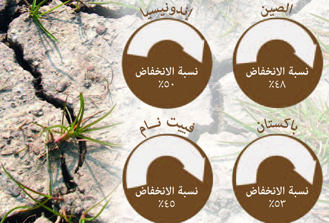 soilerosion210415-ar-653x442_0.jpg