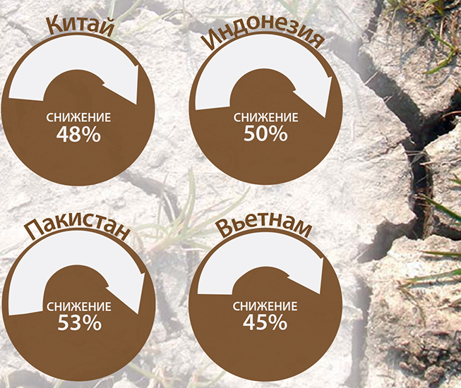 soilerosion210415-rus-653x550.jpg