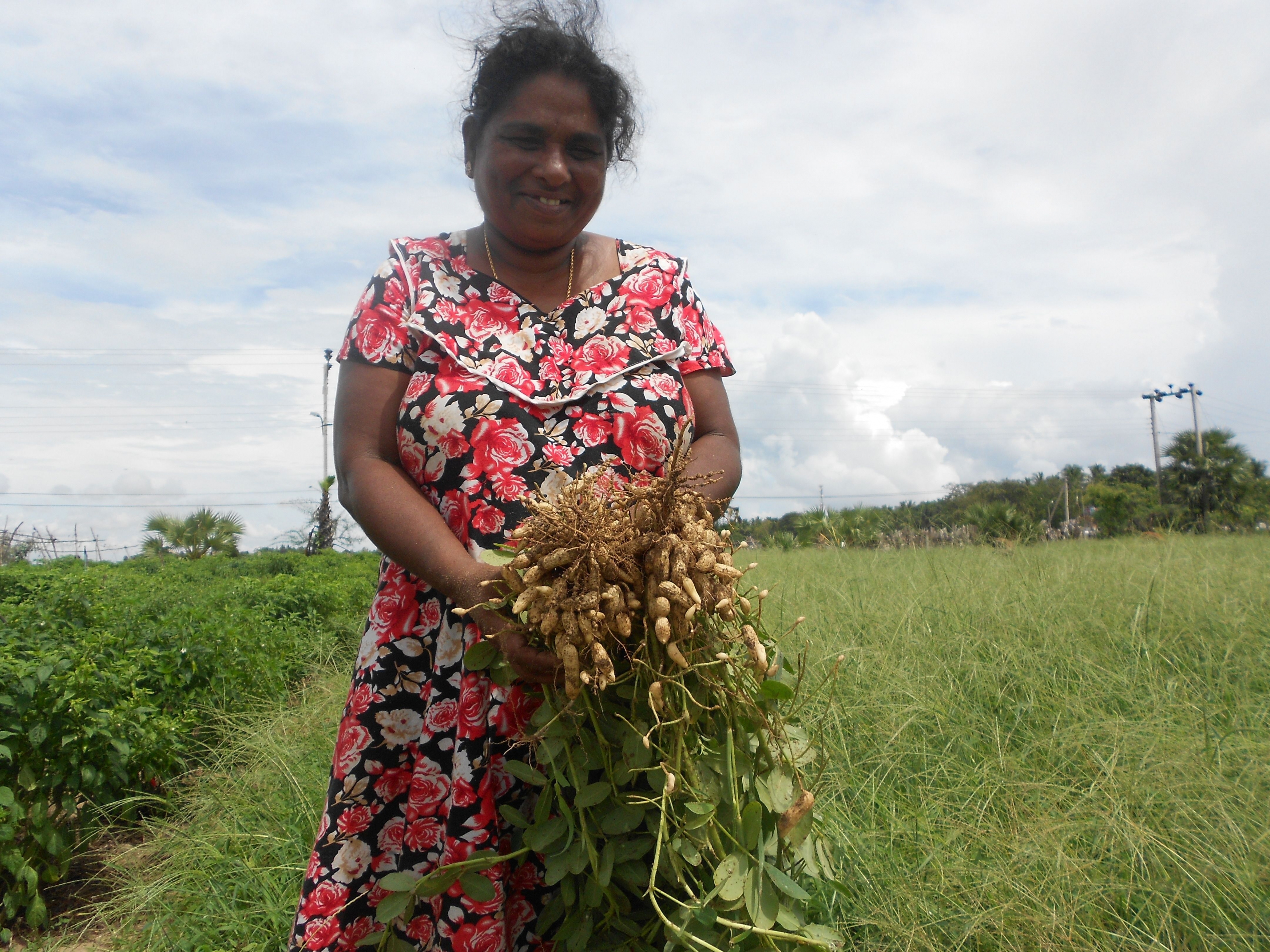 sri_lanka_groundnut_nafa.jpg
