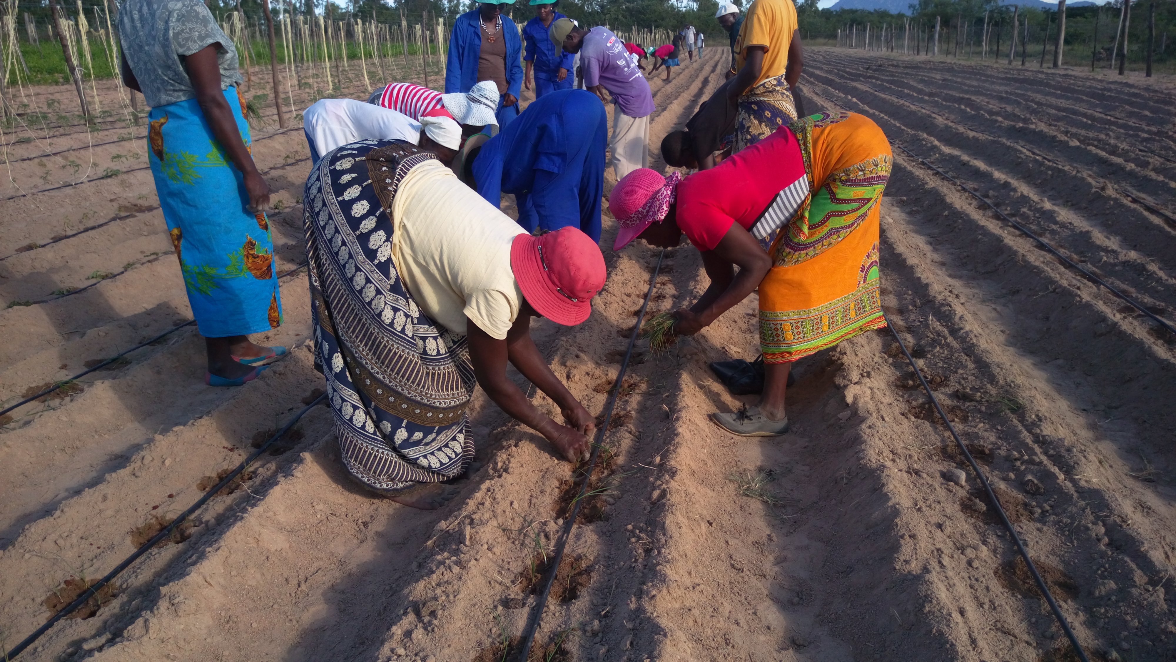 story_18_emmanuel_chikwari_-_imag3875.jpg
