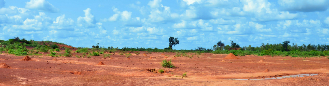 biodiversity loss