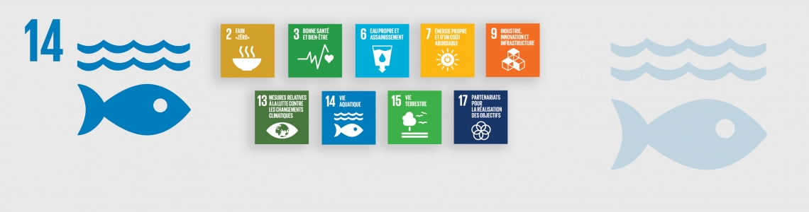 SDG-14-French