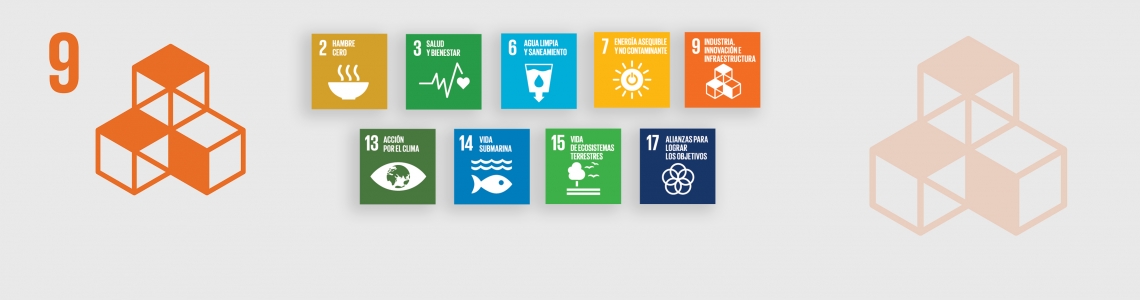 SDG-9-Spanish