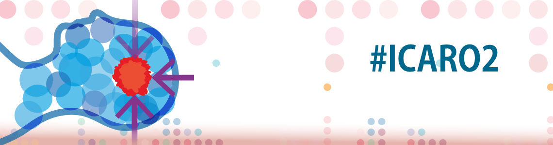 ICARO2 Banner