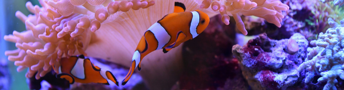 Marine Environmental Studies Laboratory