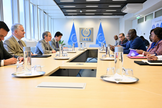 Rafael Mariano Grossi, IAEA Director-General, met with the African Group during a High Level Dialogue as they discussed topics with regards to Technical Cooperation, the DG’s Flagship Projects in Africa, and Proposal for an Inter-Agency UNIDO - IAEA cooperation through the holding of an Energy-Industry Nexus Forum during their meeting with the DG at the Agency headquarters in Vienna, Austria. 27 June 2025