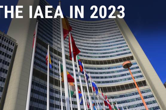 The IAEA in 2023