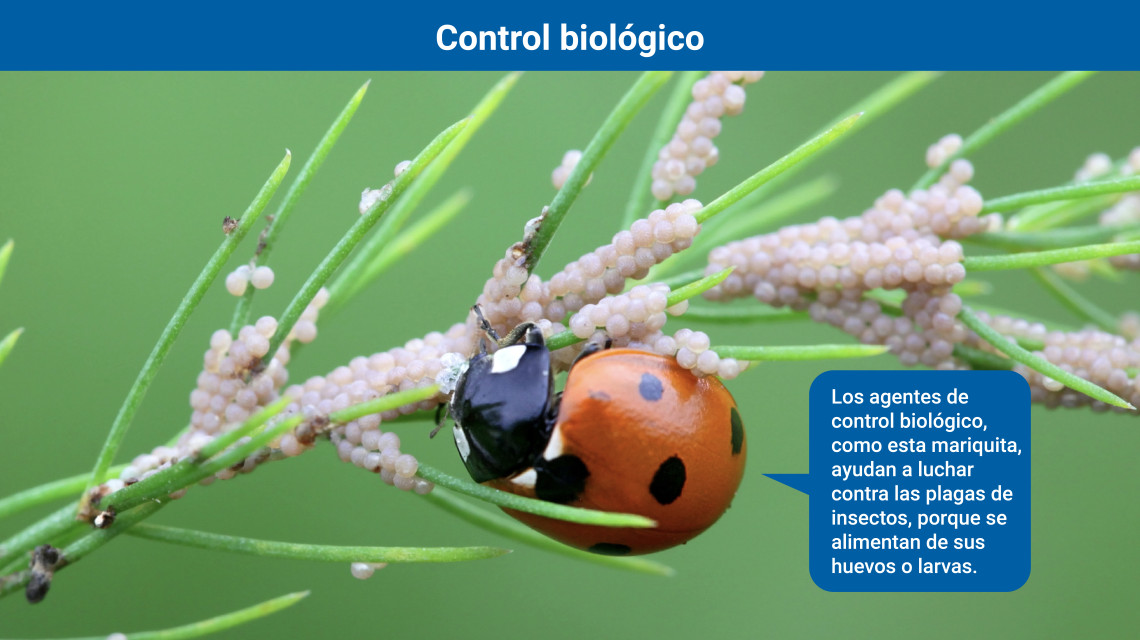 Control biológico