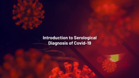 Introduction to diagnosis (French)