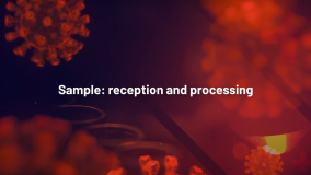 Sample reception and processing (Russian)