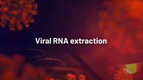 Viral RNA extraction (Russian)