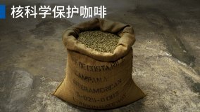 Protecting Coffee