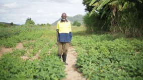 Les agriculteurs tirent parti de la science nucléaire au Zimbabwe (en anglais)