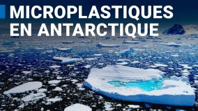 L’AIEA lance une étude sur les microplastiques en Antarctique