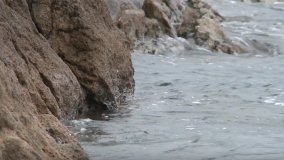 Nuclear Science for Sustainable Development Goals: Life Below Water
