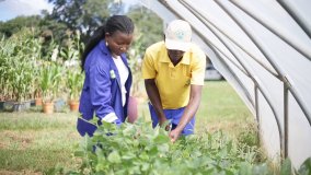 How Nuclear Science Helps Improve Food