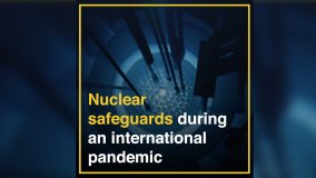 Nuclear Safeguards during an International Pandemic