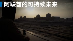增強阿拉伯聯合酋長國的未來能力