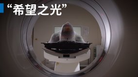 “希望之光”：全民癌癥護理