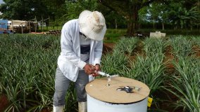 A researcher in Costa Rica collecting greenhouse gases (GHG) samples in the field. Isotopic and related techniques help in measuring GHG from agriculture as well as in mitigating and sequestering carbon.