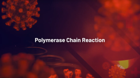 Polymerase chain reaction (Spanish)