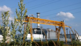 Revisiting Chernobyl: The Bitter and the Sweet - Part 1