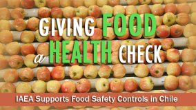 Giving Food a Health Check - IAEA Supports Food Safety Controls in Chile