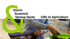 Starch,  Seaweed and Shrimp Shells - Gifts to Agriculture