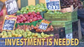 Seven Challenges for Food Security: Investment is Needed
