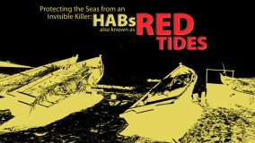 Protecting the Seas from an Invisible Killer: HABS, Also Known as Red Tides