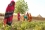 Nestled in the midst of these dry lands are patches of green where women who once were not allowed to work are now building their futures by growing vegetables that thrive thanks to nuclear science.