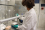 <strong>Early detection as the best form of prevention for seafood safety</strong>
<br /><br />
Scientists are concerned that climate warming and other anthropogenic activities may exacerbate the intensity and impacts of Harmful Algal Blooms.  For many years, the IAEA Environment Laboratories have promoted the use of a nuclear-based technique known as the Receptor Binding Assay (RBA), a highly sensitive and precise method that allows  scientists early detection and  monitoring of biotoxins caused by HABs. Several successful applications have been reported and documented in Chile, El Salvador, Colombia and Cuba.
<br /><br />
<em>(Photo: IAEA)</em>
