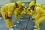 About 850 staff from 95 different countries work in the Department of Safeguards. 