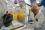 A package from the crime scene comes into the lab and is unpacked in a glove box, a sealed enclosure operated at negative pressure to ensure users are not contaminated by radioactive material.  As records for the court, participants take notes of each stage of the unpacking, which have to be detailed and accurate.