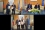 Over the course of the General Conference, nine Country Programme Frameworks (CPFs) were signed between the Department of Technical Cooperation and Member States. A CPF is the frame of reference for medium-term planning of technical cooperation between a Member State and the IAEA. It identifies the priority areas where nuclear technology can be used to address priority national development goals. Clockwise from top left: CPF signing ceremonies with Afghanistan, Eritrea and Kuwait. 