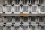 Work in the labs also focuses on research into various irradiation methods and the effects of mass-rearing, handling and sterilization on the fertility and competitiveness of male mosquitoes. When released into the wild, the sterile males still need to be able to locate females and mate with them.