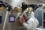 INDUSTRIAL APPLICATIONS
<br /><br />
State-of-the-art technology used to produce radiopharmaceuticals in Viet Nam developed with IAEA support, in 2014.
<br />
(Photo: IAEA)