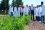 LOOKING INTO THE FUTURE - OUR WORK CONTINUES
<br /><br />
IAEA fellows being trained in nuclear and isotopic techniques at the Joint FAO/IAEA Soil and Water Management and Crop Nutrition Laboratory in Seibersdorf, Austria in 2012.
<br />
(Photo: IAEA)