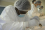 Capacity building is one of the key pillars of the Agency's assistance to Member States. As the only marine laboratories within the United Nations system, the IAEA Environment Laboratories assist Member States in training, conducting sampling missions and undertaking cutting edge research.
<br /><br />
<em>(Photo: IAEA)</em>
