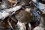 HAB events have become a common problem both in developed and developing countries, affecting public health and the shellfish and fish farming industry. HABs are a problem from Chile to Mexico, South Africa to Tunisia and the Philippines to Thailand.