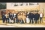 <p>The main goal of the PGEC is to prepare young graduates for their carriers as senior managers, experts and/or trainers.</p>

<p>This photo features the class of 1998.</p>

<p>“PGEC was like a milestone in my personal development, it allowed me to get further knowledge on radiation protection to develop my profession and then to contribute to a better regulatory authority,” said Nelida Serdeiro, from the Nuclear Regulatory Authority of Argentina – first from left squatting on the photo.</p>