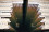 July 2023: The first ever review mission focussing on disposal management took place, at the Ignalina nuclear power plant, Lithuania. Only a few IAEA Member States have reached this stage in disposal management so far.  
<br /><br />
Find out more about ARTEMIS <a href="http://www.dgdingfa.net/services/review-missions/integrated-review-service-for-radioactive-waste-and-spent-fuel-management-decommissioning-and-remediation-artemis">here</a>. 
<br /><br />
<em>- The spent fuel pool at the Ignalina nuclear power plant, 2018. </em> 
<br /><br />
(Photo: J. Donovan/IAEA) 